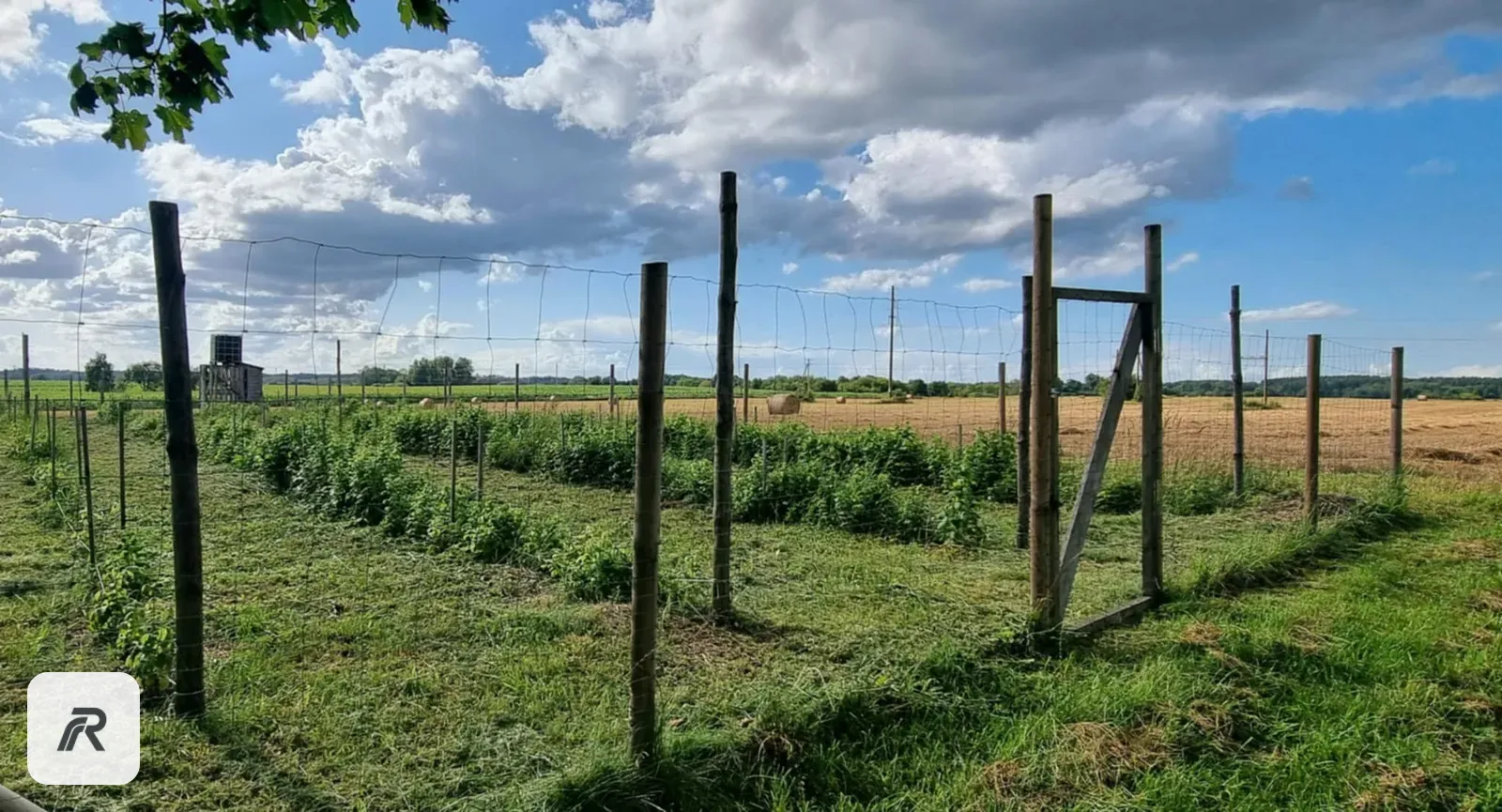 Savanorių k, Merkinės kel.,  13